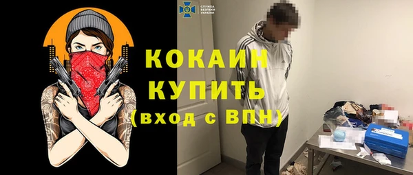 стафф Бердск