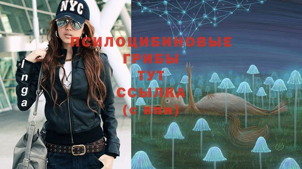 герыч Дмитриев