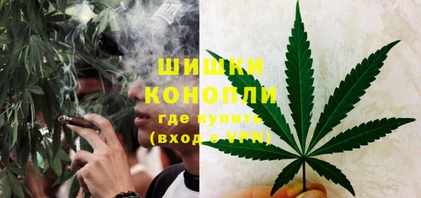 стафф Бердск
