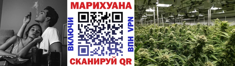 Конопля конопля Орёл